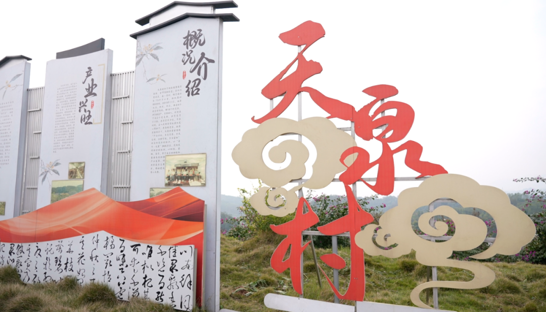 从“省级贫困”到“百村样板”， 这个村做了什么？