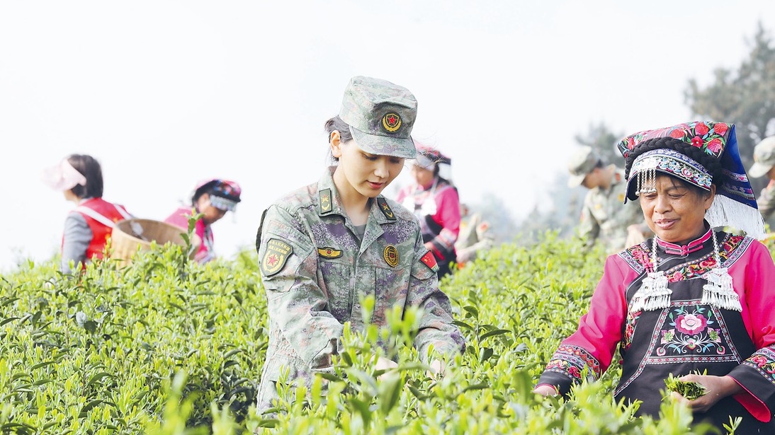 贵州省贵阳市乌当区人武部组织民兵助农分队帮助当地群众采摘茶叶